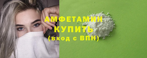 шишки Верхний Тагил