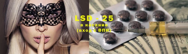 шишки Верхний Тагил
