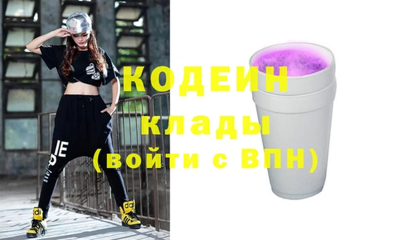 шишки Верхний Тагил