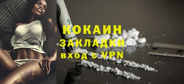 шишки Верхний Тагил