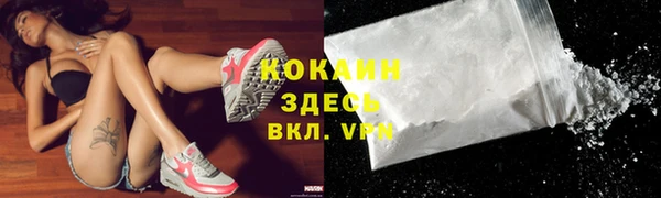 шишки Верхний Тагил