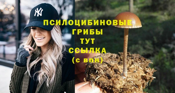 шишки Верхний Тагил