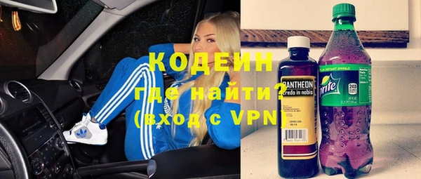 шишки Верхний Тагил