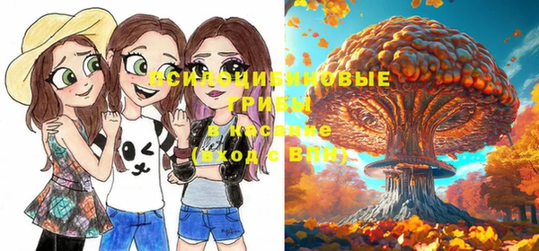 шишки Верхний Тагил