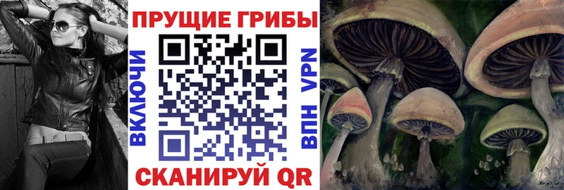 Галлюциногенные грибы Psilocybe  наркота  Ставрополь 