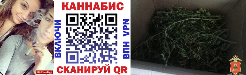 Бошки марихуана Bruce Banner Ставрополь